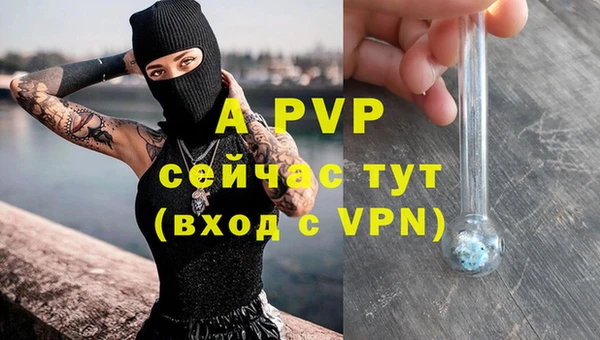 стафф Алзамай