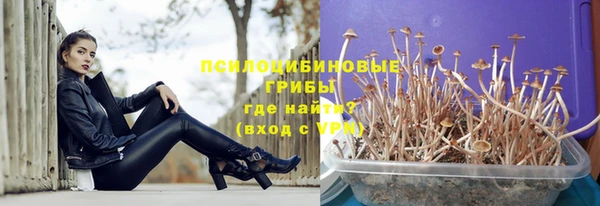 стафф Алзамай